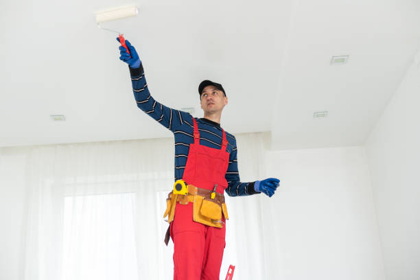 Mold Remediation for Vacation Homes in Irving, TX